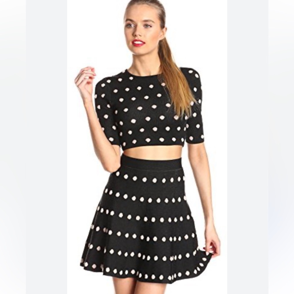 BCBG MaxAzria Black crop top and skirt set XS TWO PCS